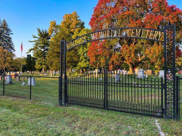 Custom steel gate and arch